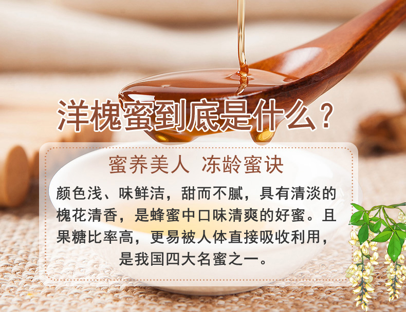 尖嘴洋槐10大看點-副本_01.jpg