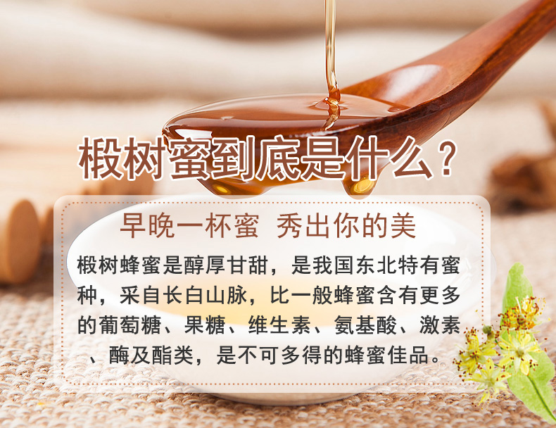 尖嘴椴樹(shù)10大看點(diǎn)-副本_01.jpg