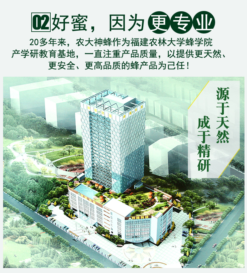尖嘴椴樹(shù)10大看點(diǎn)-副本_03.jpg