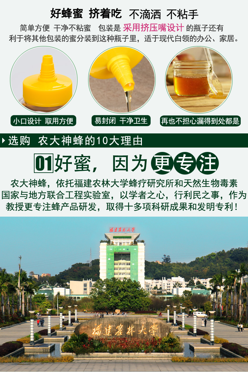尖嘴椴樹(shù)10大看點(diǎn)-副本_02.jpg